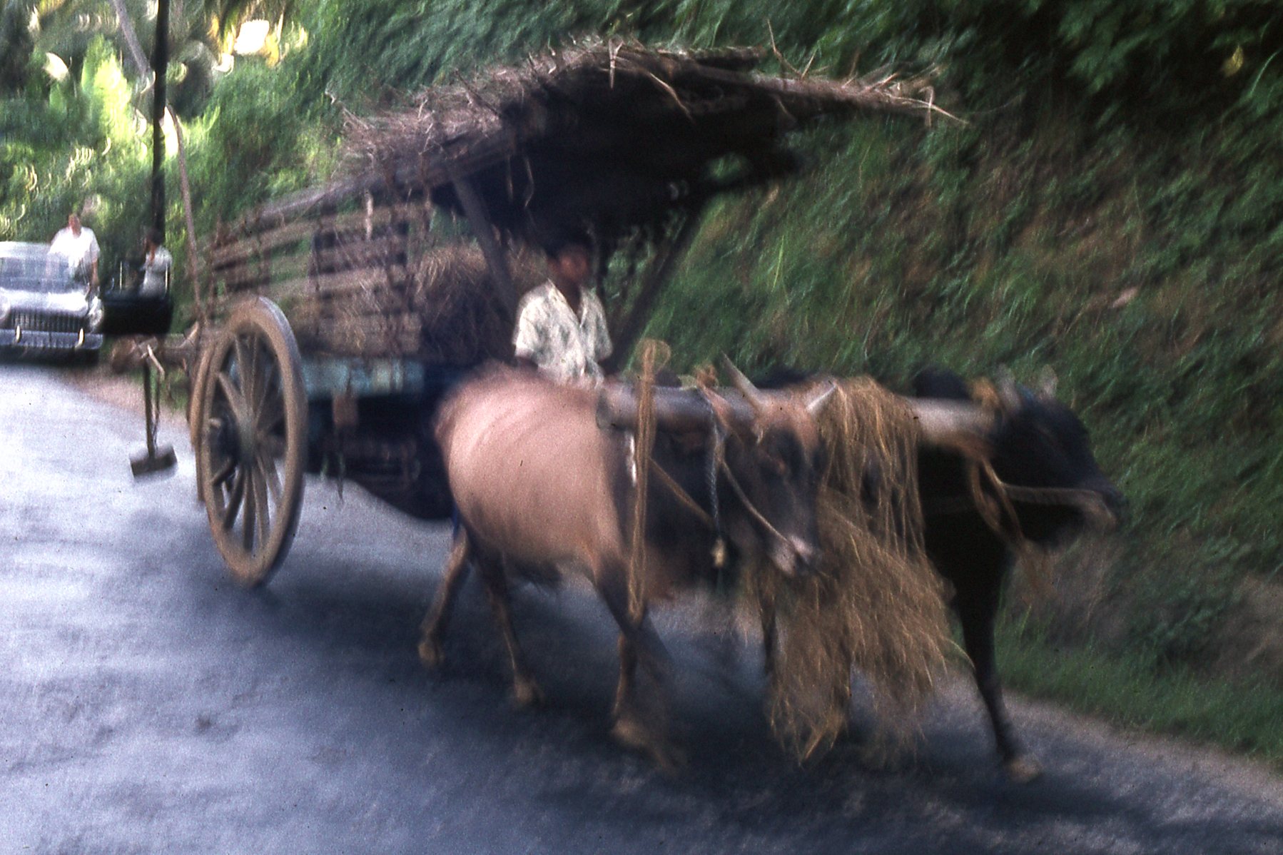 1972 Sri Lanka
